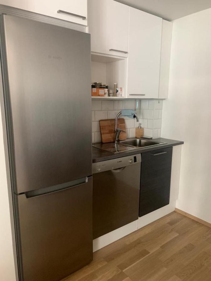 Modern One Bedroom Nearby Airport Vantaa